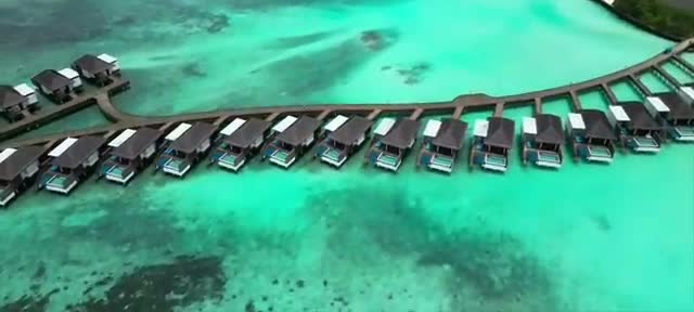 Featured image of post DusitD2 Feydhoo Maldives: A Luxury Overwater Villa Experience