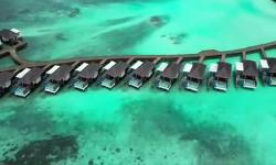 Featured image of post DusitD2 Feydhoo Maldives: A Luxury Overwater Villa Experience