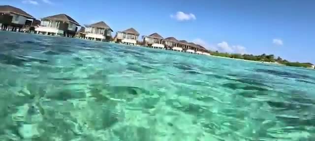 The warm, shallow lagoon β perfect for snorkeling