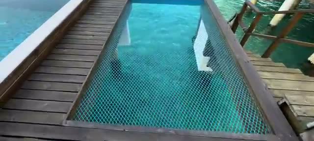 Private plunge pool deck over the shallow lagoon