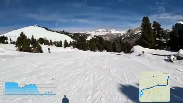 Mid-mountain: groomed runs, pine forest, and distant peaks