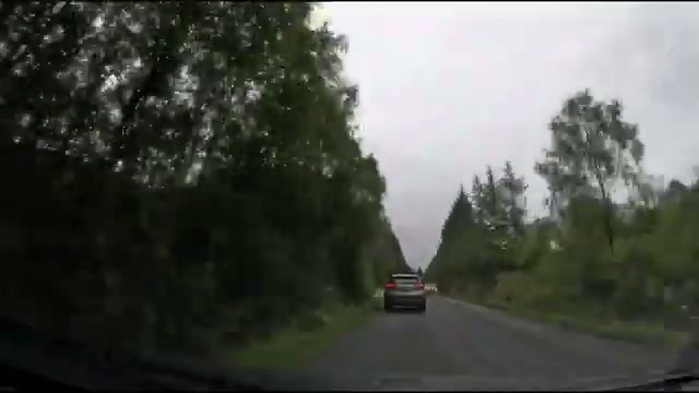A wooded road in the final stretch, following an SUV