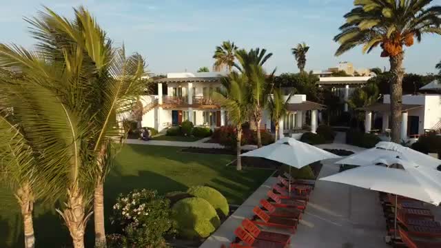 Manicured grounds between the villa buildings
