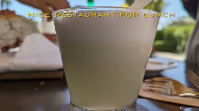 Pisco sour at the hotel restaurant — nice for lunch