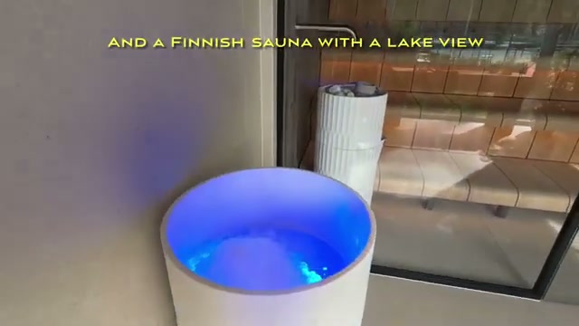 Finnish sauna with a lake view