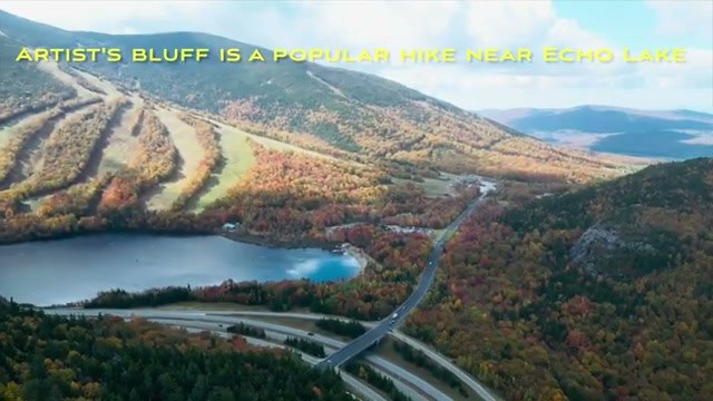 Artistβs Bluff