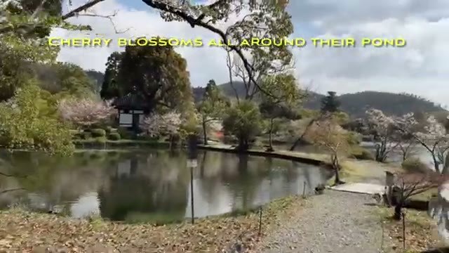 Daikaku-ji pond