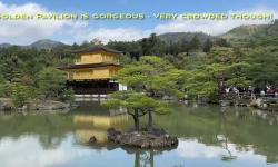Featured image of post One Day in Kyoto: Bamboo Groves, Golden Pavilion & Fushimi Inari