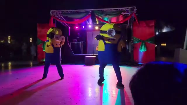 Minions stage show