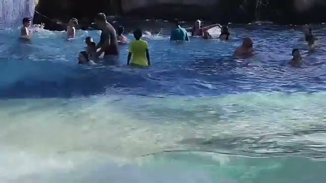 Wave pool