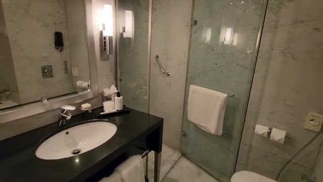 Sink, large mirror, and the glass-enclosed shower